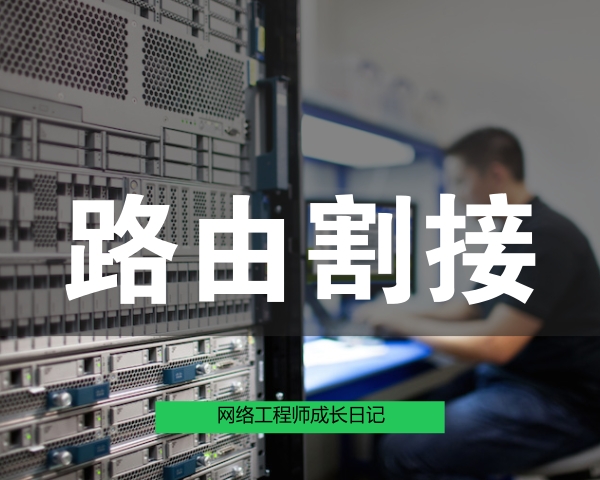 网络工程师成长日记309-西安李宁项目