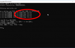 网络工程师成长问答017-ping 命令里面的TTL参数代表什么意思的图片 网络工程师成长问答017-ping 命令里面的TTL参数代表什么意思