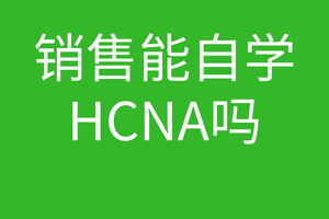 HCNA培训常见问题019-我是个做销售的,但是我想学HCNA请问能学会吗