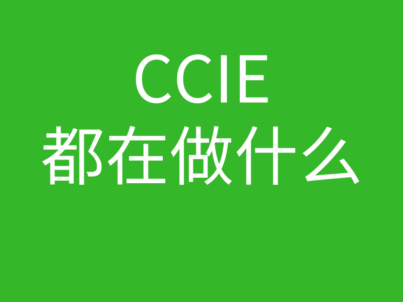 CCIE培训常见问题007-CCIE现在多吗？CCIE一般都是从事什么岗位的的图片