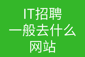 it招聘一般在哪个网站